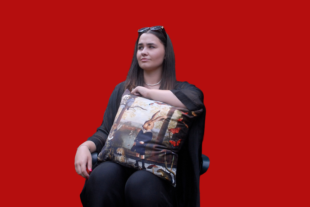 'A Day Out In The Woods' Velvet Cushion