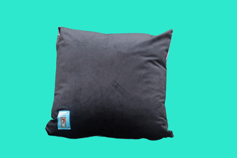 'The Circus Is Coming' Velvet Cushion