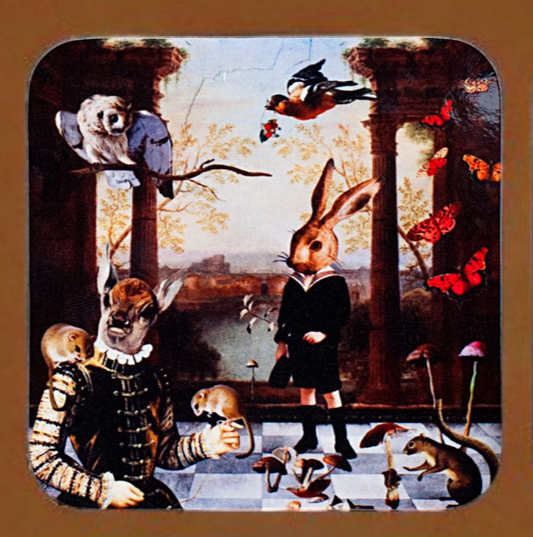 'A Day Out In The Woods' Set of 4 Coasters